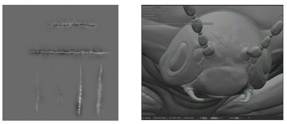 Multi-Tile Displacement Workflows with Mari & Arnold | Endomychidae Beetle | Adam Spring | Official Website