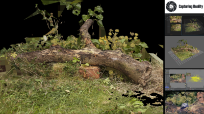 Photogrammetry For VFX | Endomychidae Beetle | Adam Spring | Official Website