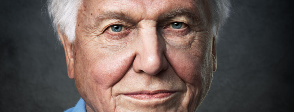 David Attenborough | 3D Portrait | Adam Spring Official Website