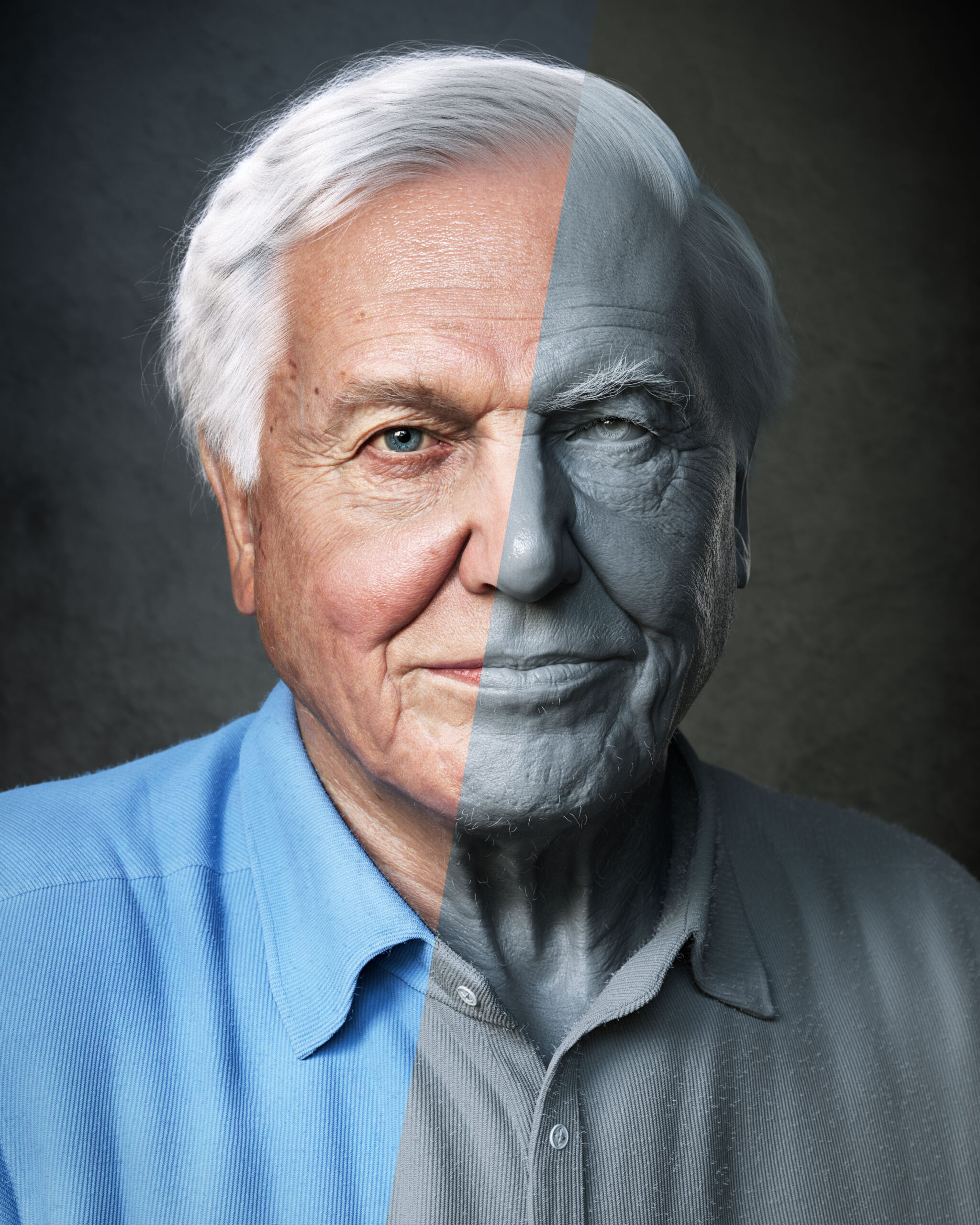 David Attenborough | 3D Portrait | Adam Spring Official Website