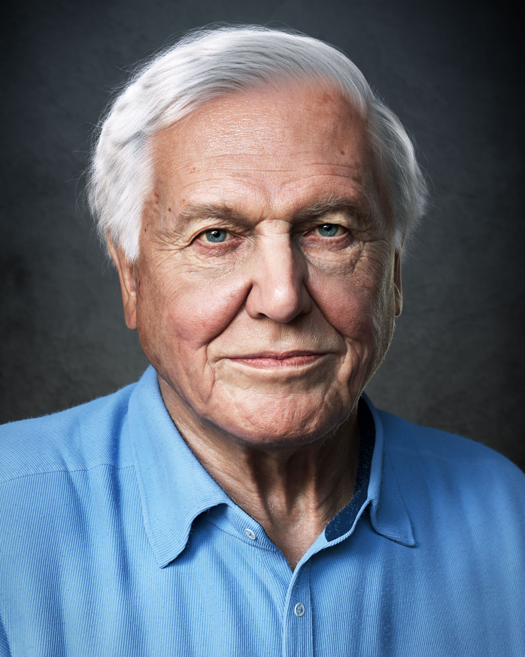 David Attenborough | 3D Portrait | Adam Spring Official Website