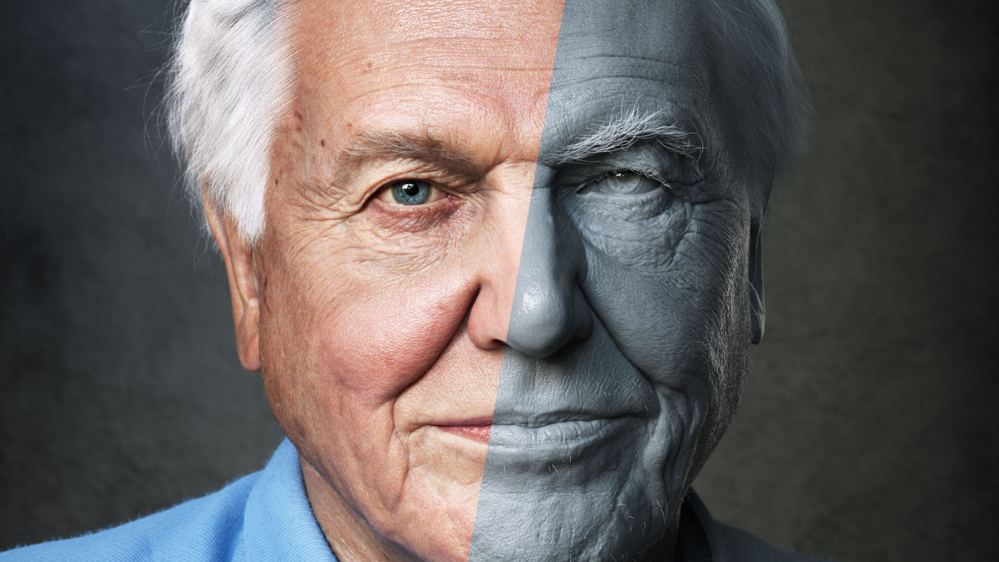 David Attenborough | 3D Portrait | Adam Spring Official Website