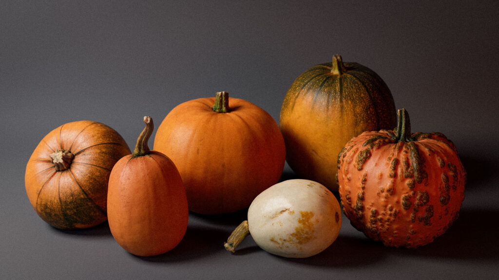 Pumpkin Photogrammetry | Adam Spring Official Website